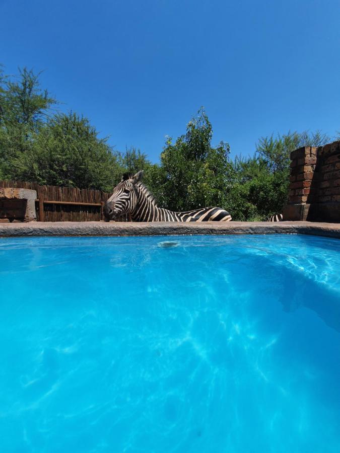 Villa Giraffe plains à Marloth Park Extérieur photo