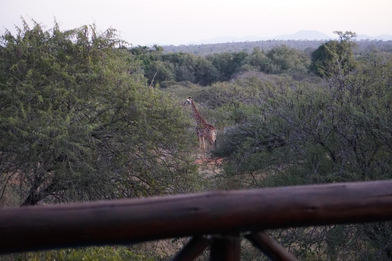 Villa Giraffe plains à Marloth Park Extérieur photo