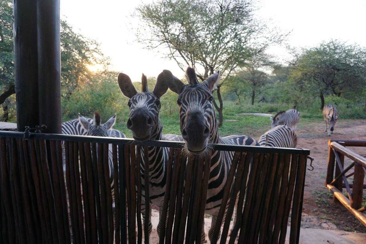 Villa Giraffe plains à Marloth Park Extérieur photo